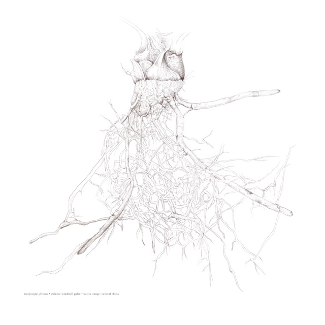 Alisha Dutt Islam (Photo: courtesy the artist)