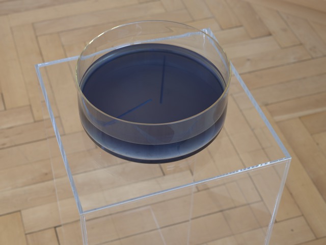 Marco Antonini (Photo: Annik Wetter)