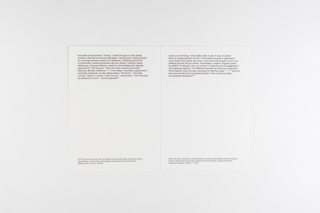 Footnotes I have never seen. A postcard book by Robin Waart with Alejandro Cesarco, Kajsa Dahlberg, Vincent Fecteau, Goda Palekaitė, Claudia de la Torre, Andrew Witkin. Photo: Ayako Nishibori. ISBN 978-90-829362-4-7